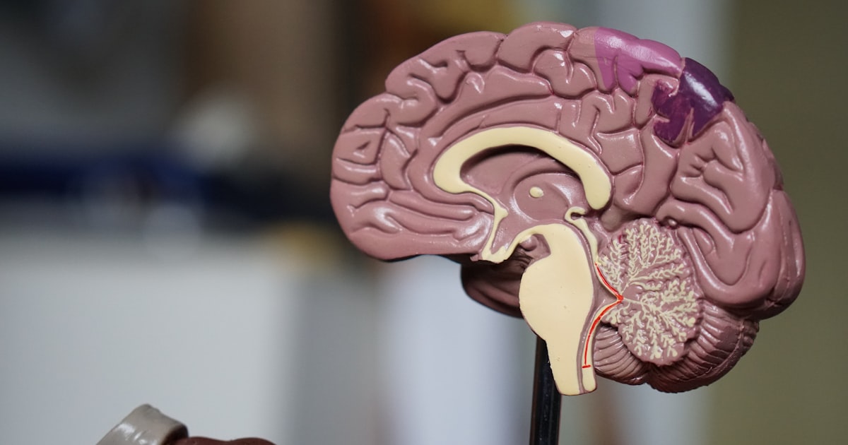Top 10 European Medical Schools for UK Students in 2026